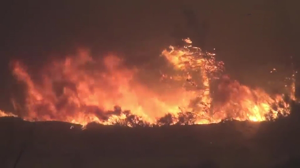 Devastating Forest Fire in California