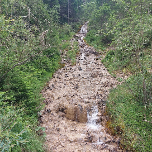 sorgente della drava da dobbiaco a san candido