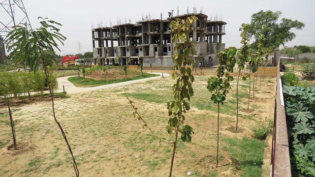 Commercial Lands in Sanganer