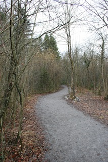 2010c_7617