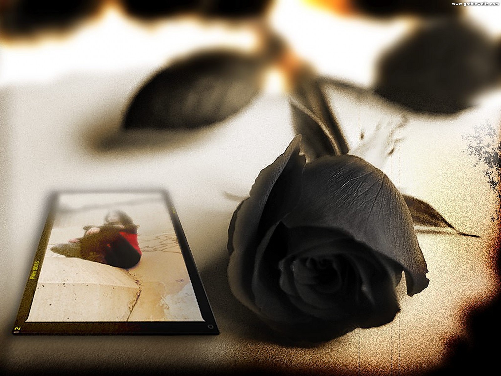 Black Rose Postcard | Dark Gothic Wallpaper Download