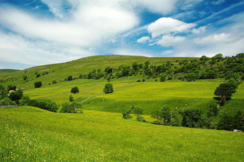 Paisajes naturales II (Más allá de los verdes prados)