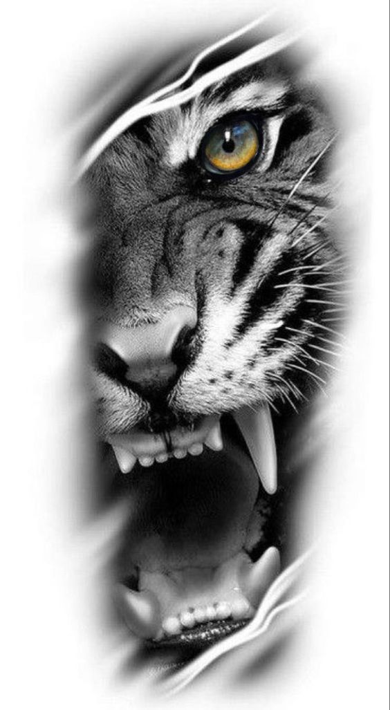 eye of the tiger