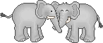 Gif elefante