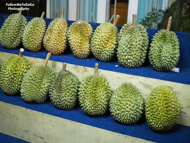  Malaysian King of Fruit The Durian