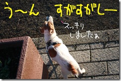 今日カズ０９１２１７　５
