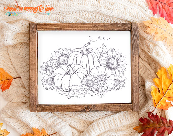 Printable Pumpkin Drawing