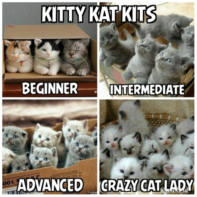Kitty Kat Kits! - Funny memes pictures, photos, images, pics, captions, jokes, quotes, wishes, quotes, sms, status, messages, wallpapers.