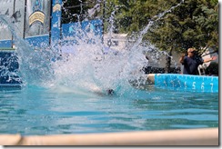 Speed Retrieve 9.330 seconds-006