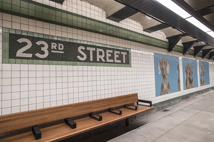 Artist Redesigns NYC Subway Station With Colorful Dog Mosaics