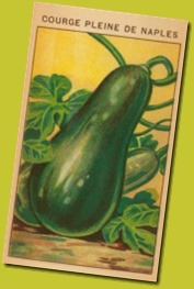 french-zucchini-seed-packet_i-G-35-3595-VZO2F00Z