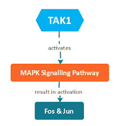 TLR Pathway flowchart by Anant kumar - Replico