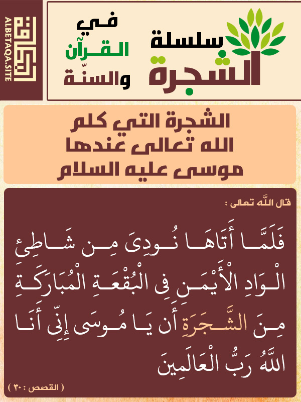 تفسير القرطبي pdf الرسالة