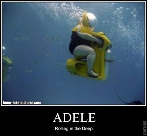 Funny Adele Rolling In The Deep Joke Picture - Underwater picture of a ...