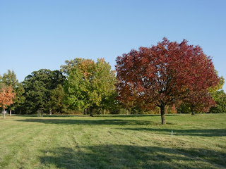 Morton Arboretum, Chicago