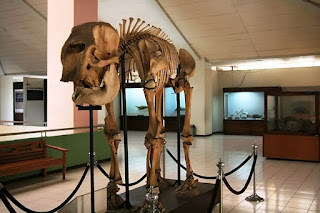 Koleksi Museum Ranggawarsita