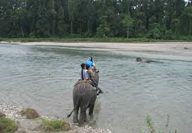 South Gorumara Forest Range