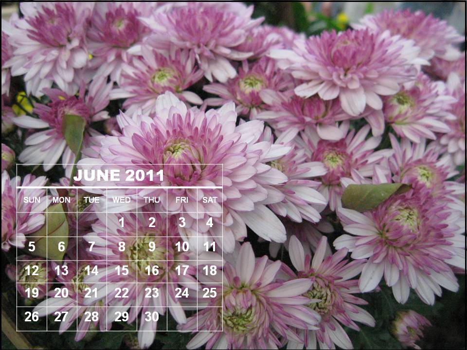 june 2011 calendar blank. june 2011 calendar. BLANK