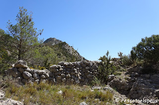 Ruta circular al Roc de Galliner, a la muntanya d'Alinyà