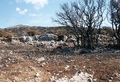Καμμένα 001
