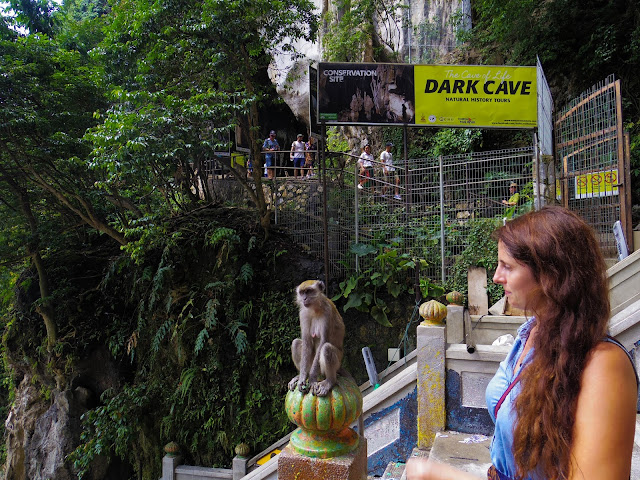 Batu Caves scimmie