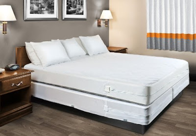 The Original Sleep Defense System - Waterproof / Bed Bug / Dust Mite Proof - PREMIUM Zippered Mattress Encasement & Hypoallergenic Protector - 60-Inch by 80-Inch, Queen - Standard 12"