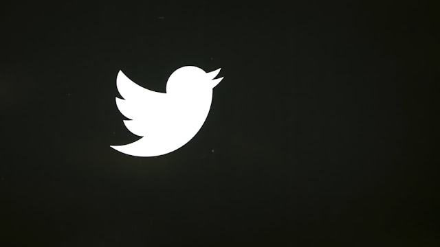 Elon Musk says Twitter to change logo, adieu to ‘all the birds’