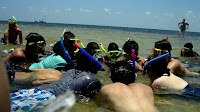 Marine Biology Summer Programs