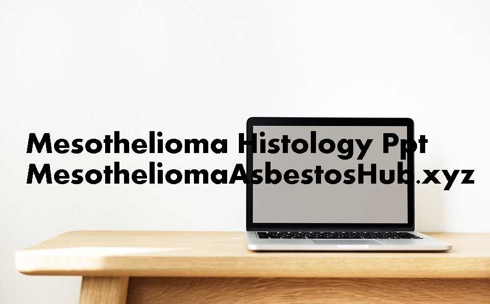 Mesothelioma Pathology Ppt