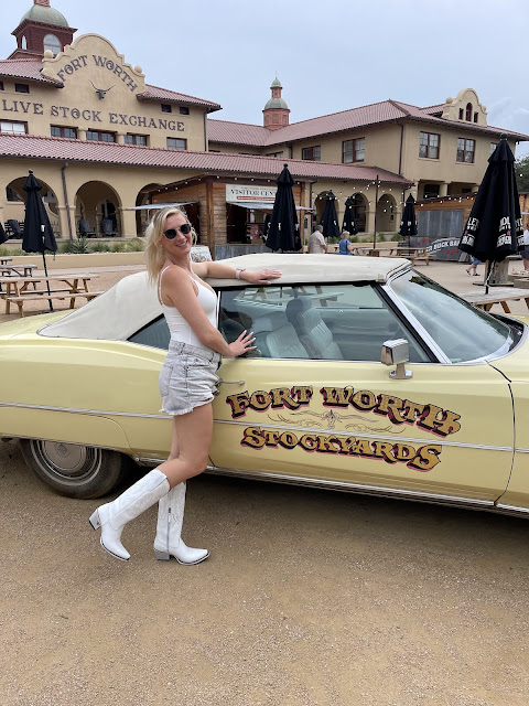 Fort Worth Cowgirl