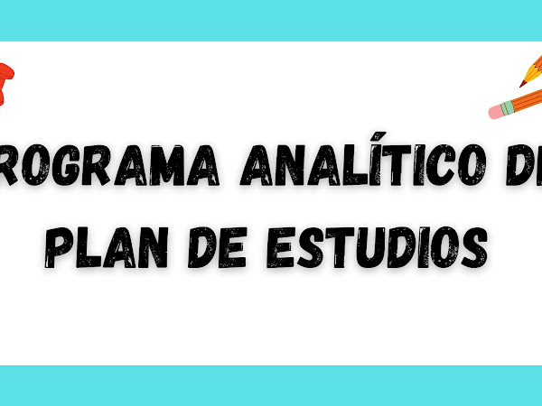 Programa Analítico del Plan de Estudios