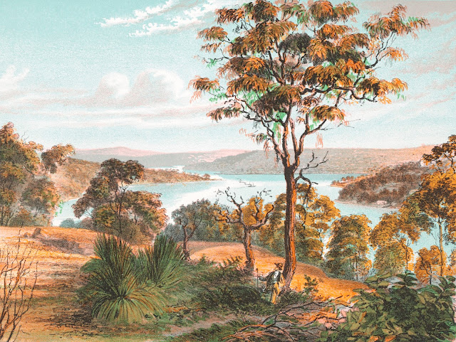 Middle Harbour, Sydney, New South Wales 1878