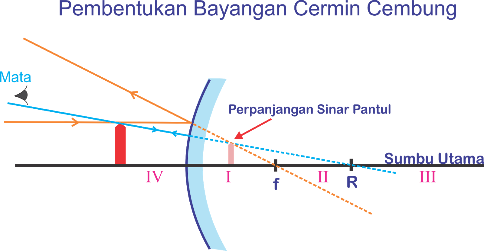 Cahaya dan Alat Optik Cermin Cembung Cermin Positif 