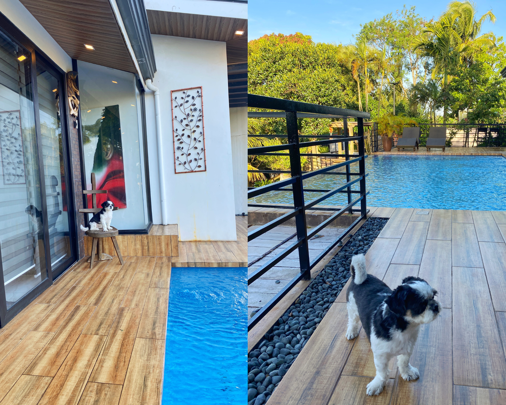 TAGAYTAY PET FRIENDLY airbnb