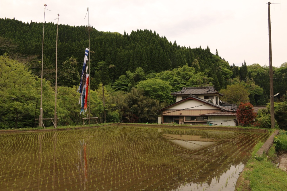 Countryside