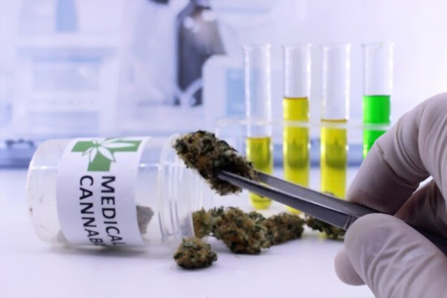 Medical cannabis Sydney