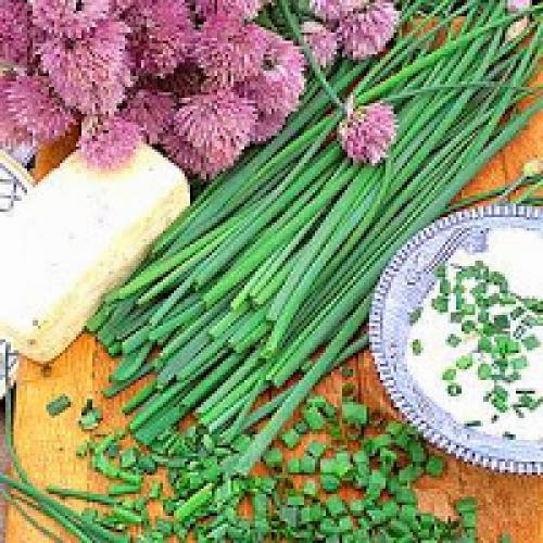 Magickal Herb Friday Chives