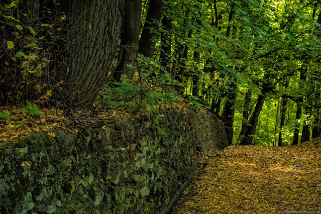 Каменная подпорная стенка вдоль дорожки покрытой осенними листьями