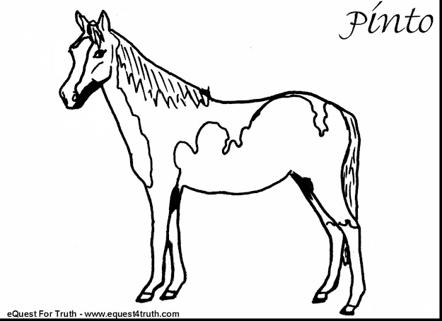 Beautiful Horse Coloring Pages On Carousel Animals Simple With Horse  Coloring Pages And Horse Coloring Pages
