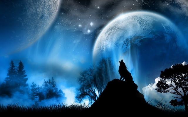 Wolf Wallpapers HD