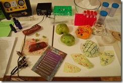 BIOART 005