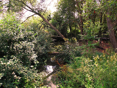 Image of stream at Worsley