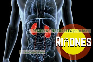 Remedios caseros para los riñones