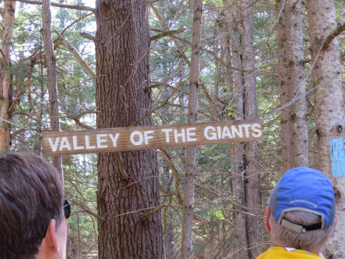 Valley of the Giants