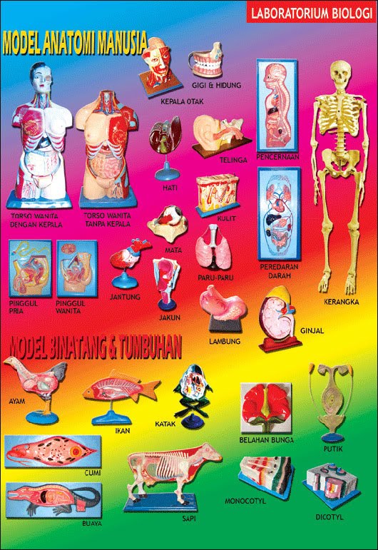 Laboratorium Sekolah gambar alat  peraga  ipa SMA 