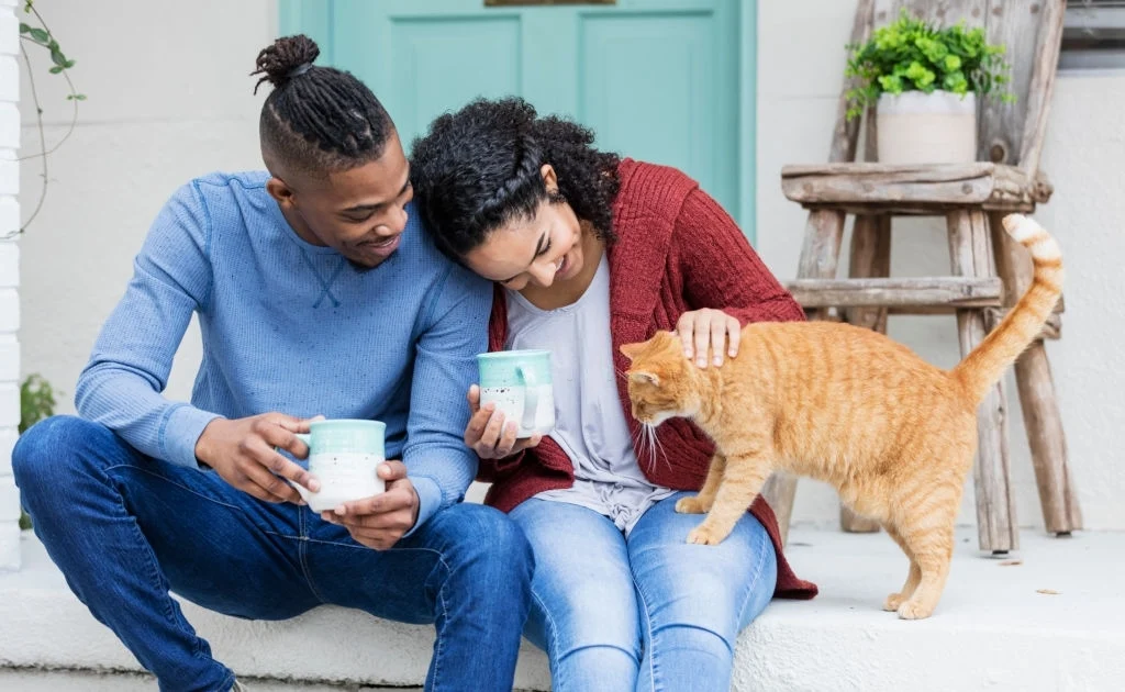 This Is Why You Should Adopt a Cat