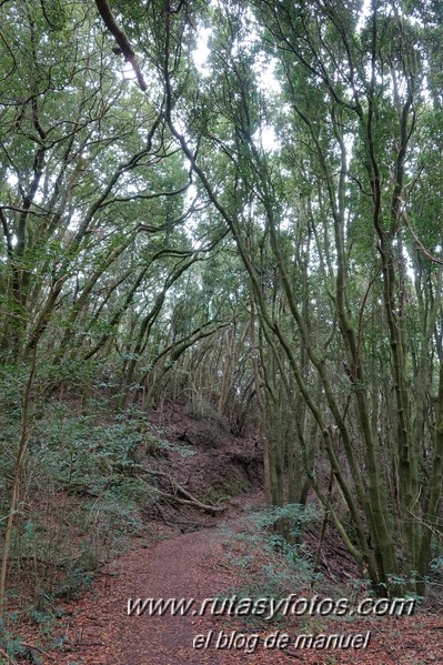 Sendero de los Sentidos - Sendero de los Enigmas