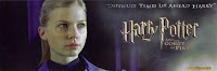 harry potter fleur delacour