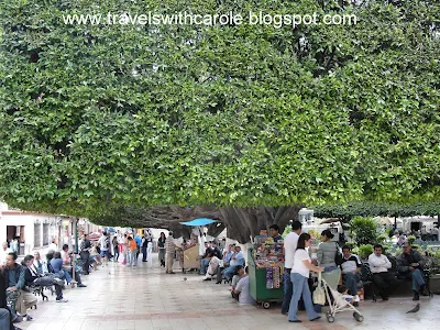 Jardin de la Union/Union Garden in Guanajuato, Mexico