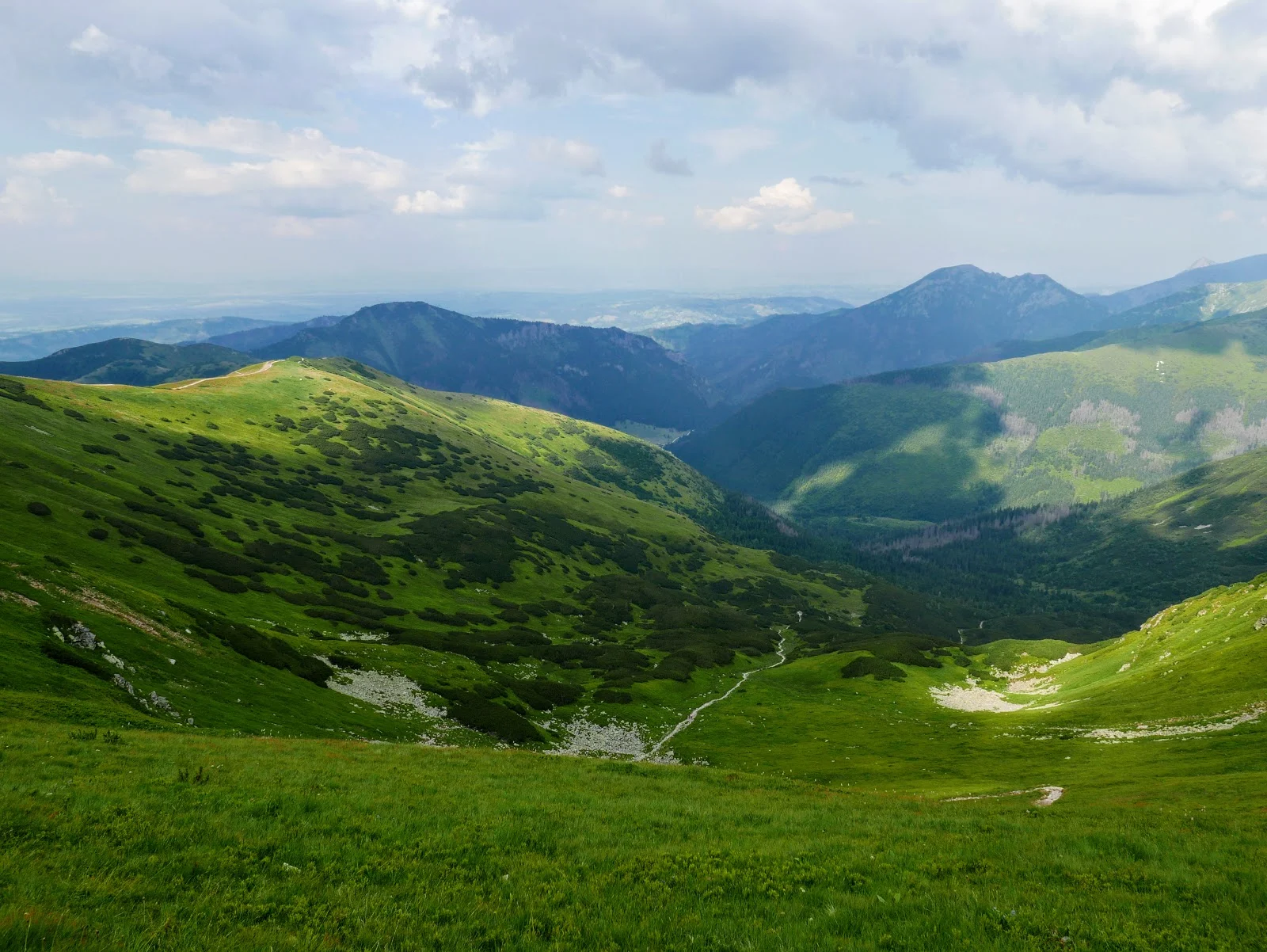 tatry, tatry zachodnie, tatry blog, tatry zachodnie blog, tatry słowacja, tatry słowacja blog, tatry dla początkujących, tatry dla zaawansowanych, szlaki w tatrach dla początkujących, szlaki w tatrach dla średniozaawansowanych, główna grań tatr, tatry zdjęcia blog, tatry latem, tatry latem blog, tatry opis szlaku, Salatín, Baníkov, Hrubá kopa, Plačlivé, Ostrý Roháč, Volovec, Rákoň, Salatyn, Banówka, Rohacz Płaczliwy, Rohacz Ostry, Wołowiec, Rakoń, Rohacka dolina, rohacki kon, orla perć tatr zachodnich, słowacka orla perć